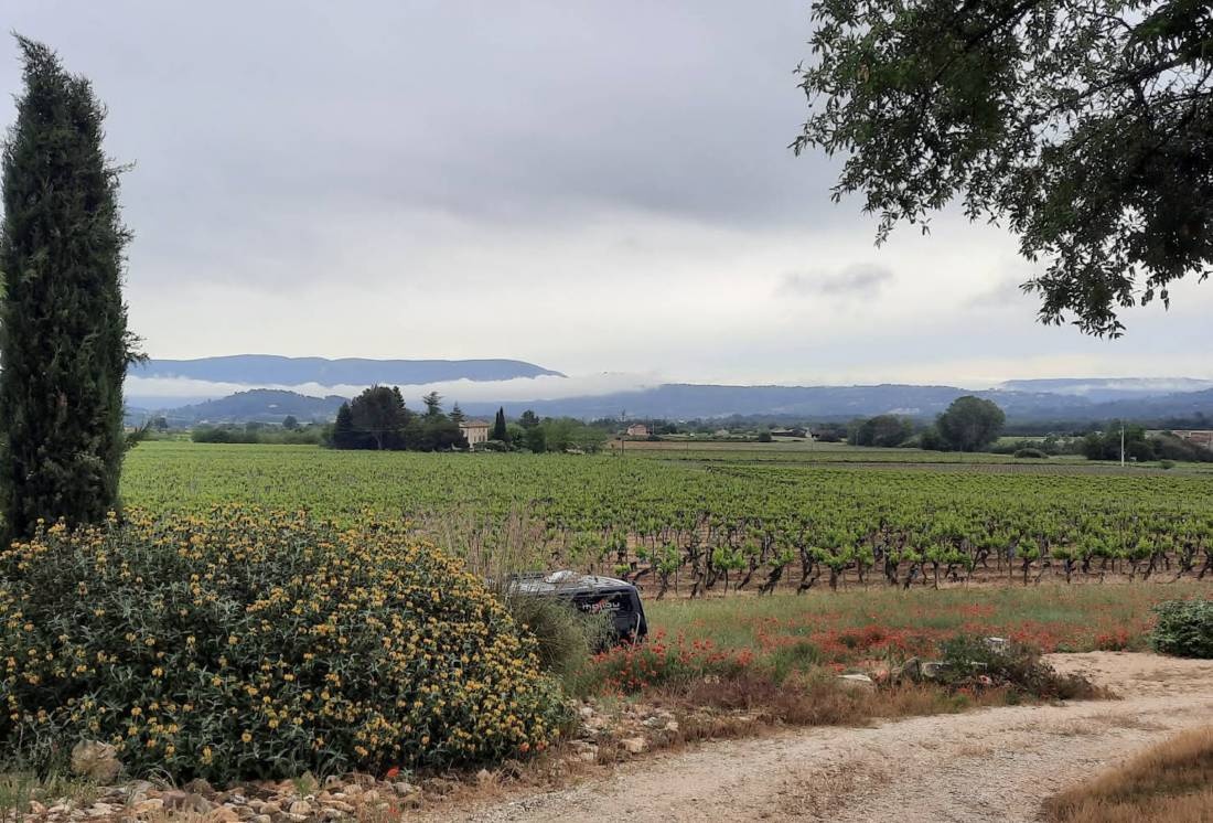 Gîtes Saint Estève — Weingut in Gargas