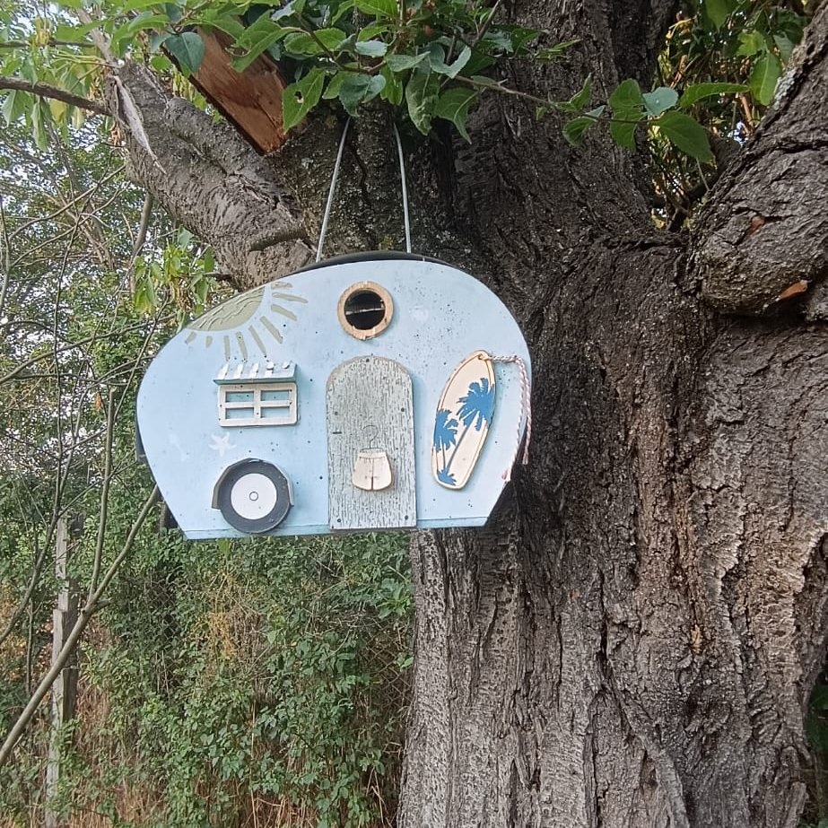 Indys-Place — Sítio de acampamento in Tăutelec