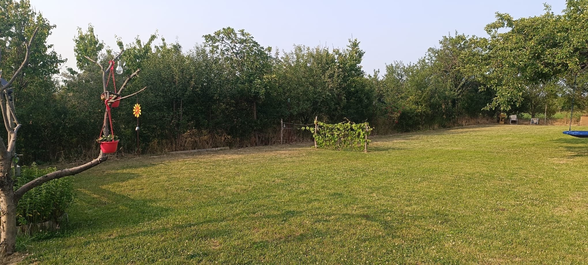 Indys-Place — Camping Site in Tăutelec
