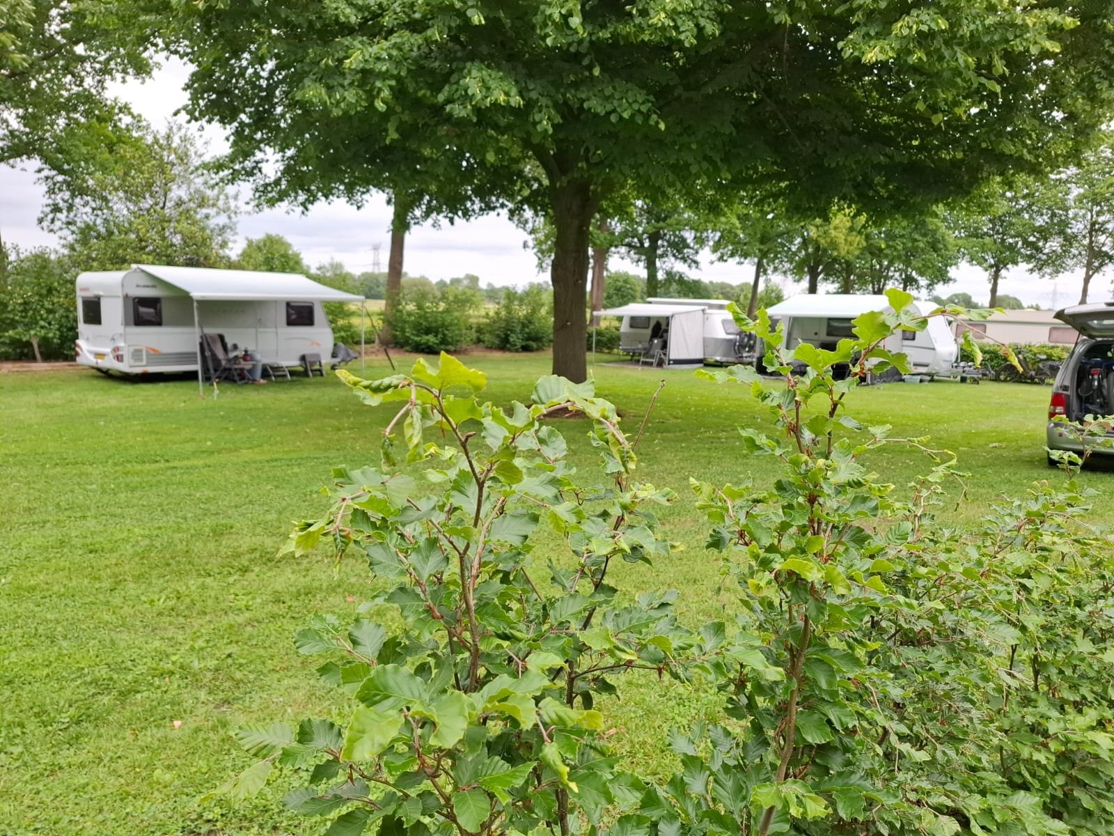 Mini Camping de Walsert — Camping in Rijkevoort-de Walsert