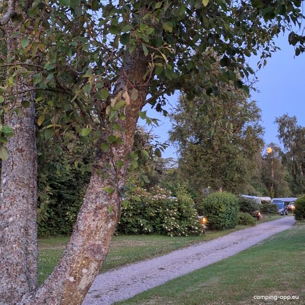 Safari Camping — Photo 3