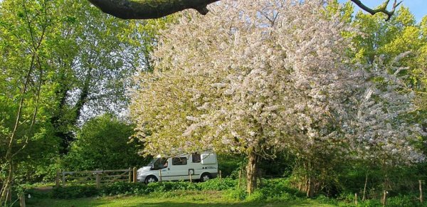 Camperplaats Op ‘t Hof van de Milliano — Foto 4