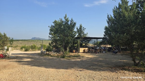 Auto Camp Ante — Photo 4