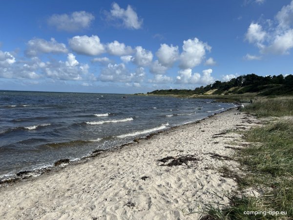 Orø Strandcamping — Photo 6