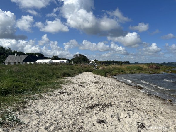 Orø Strandcamping — Photo 5