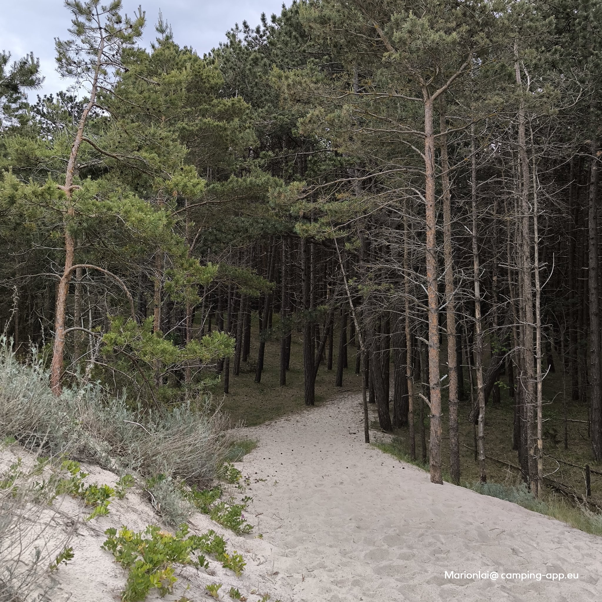 Osada nad Woda — Foto 3