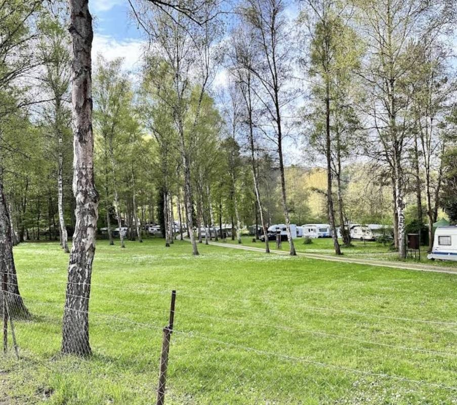 Campingplatz Forelle — 露营地 in Wertheim