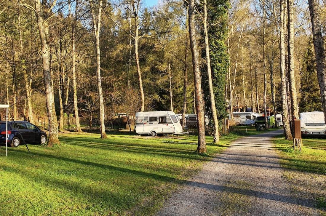 Campingplatz Forelle — Campingplads in Wertheim