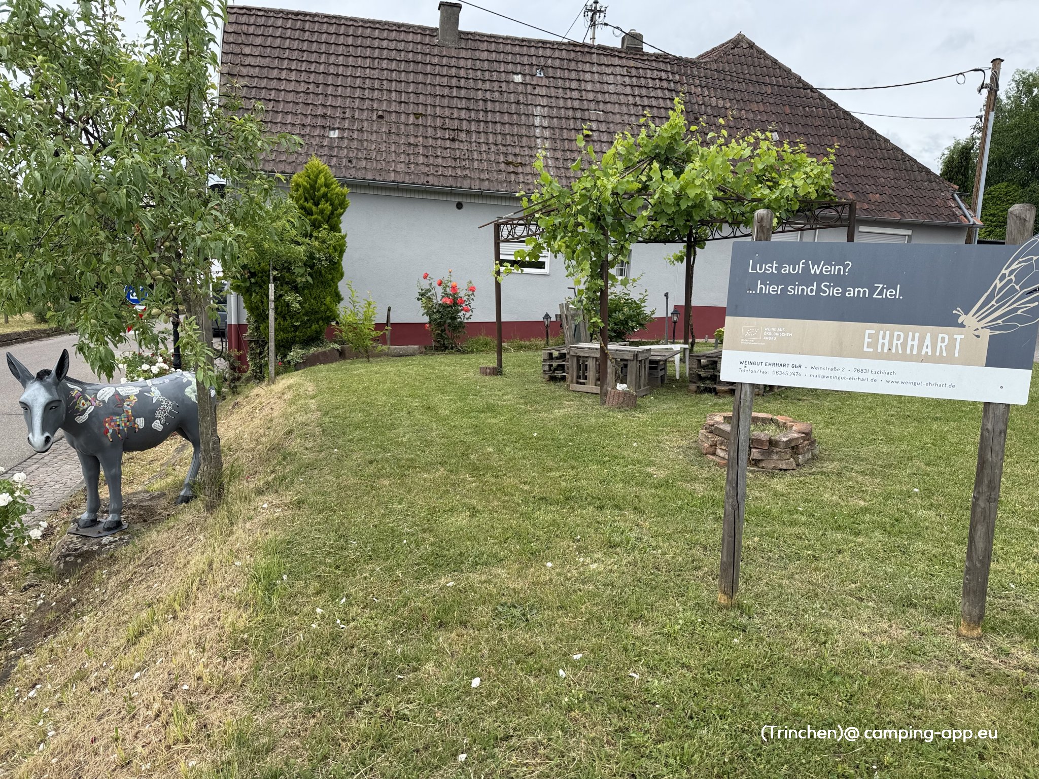 Stellplatz Weingut Ehrhart — Foto 2