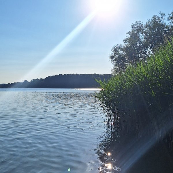 Camping Strandbad und Café Leimüller am Wallersee — Photo 3