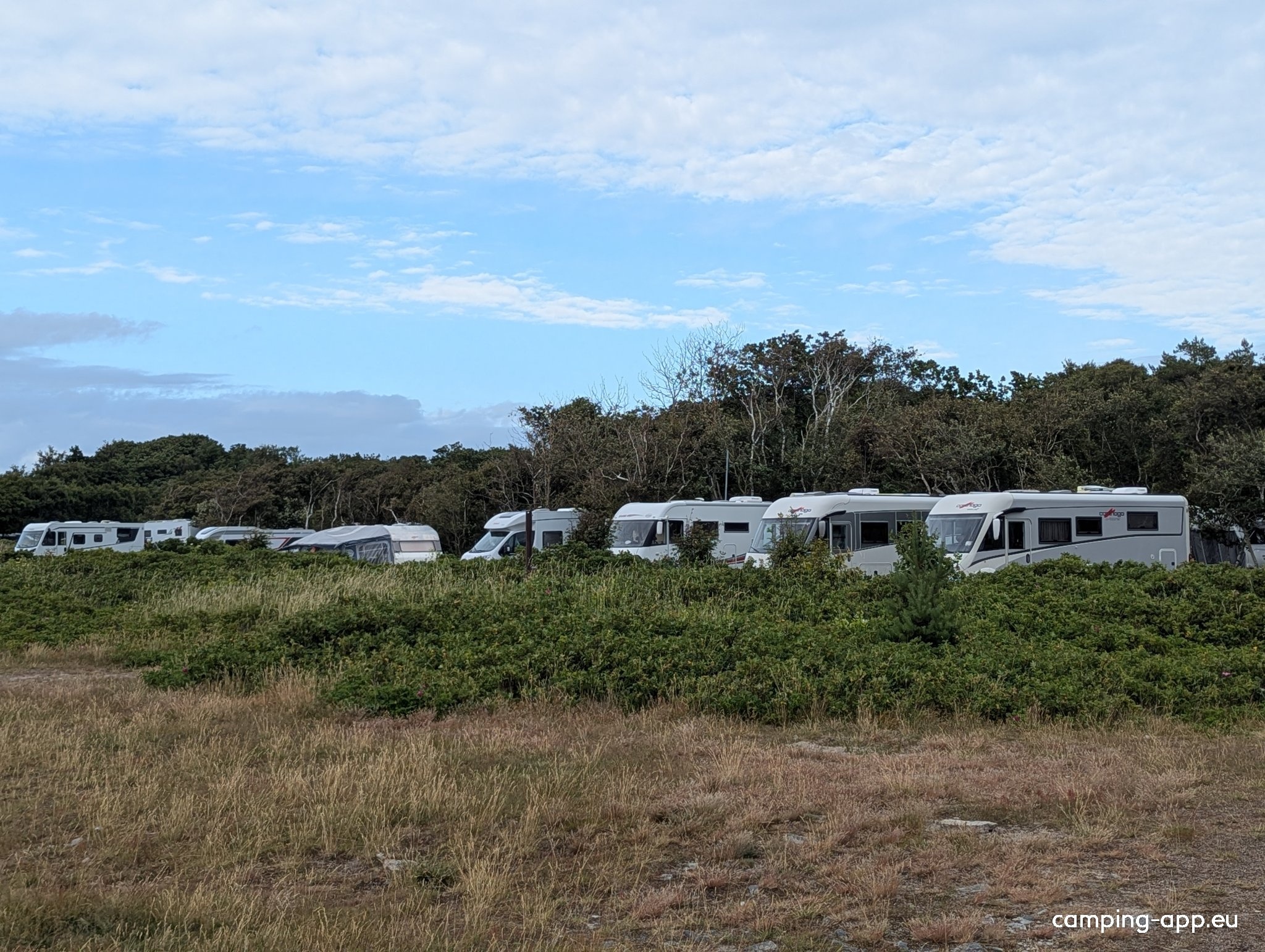 First Camp Torekov - Båstad — Campingplass in Torekov