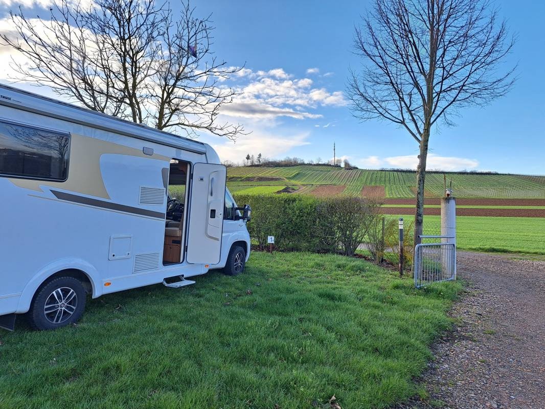 Stellplatz am Weingut Sommer Siefersheim — Vingård in Siefersheim