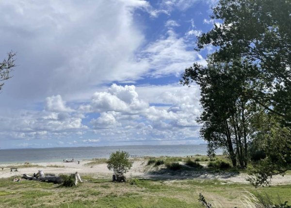 Faxe Ladeplads Camping — Photo 3