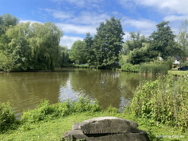 Willow Camp — Photo 5