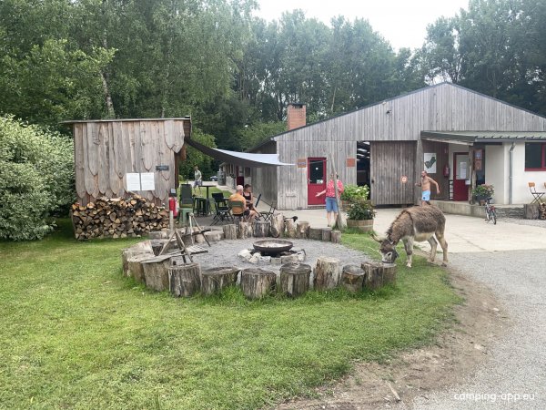 Willow Camp — Photo 4