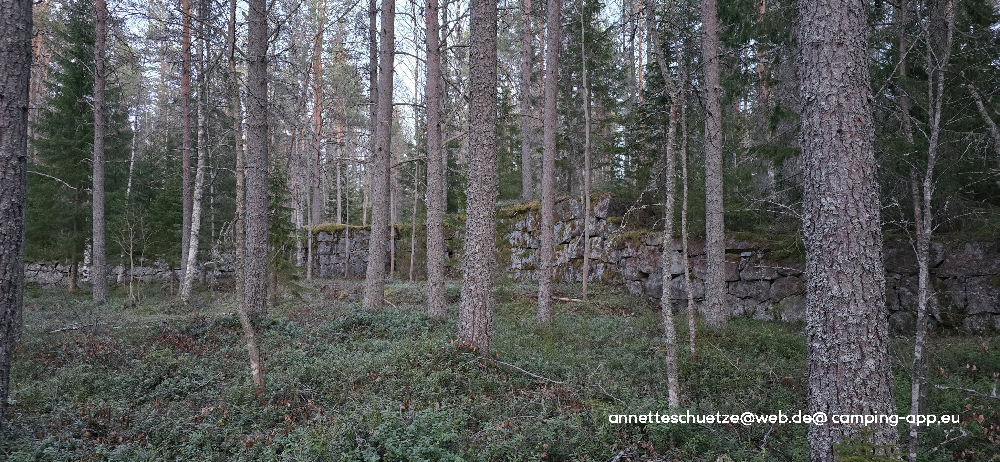 Renholmen — Foto 2