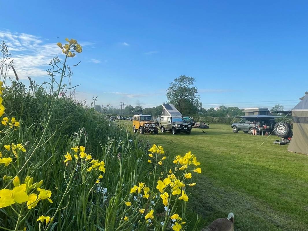 yellowtail camping — Campingplads in Hilperton