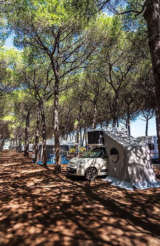 Camping Village Tuscia Tirrenica — Area da campeggio in Tarquinia Lido