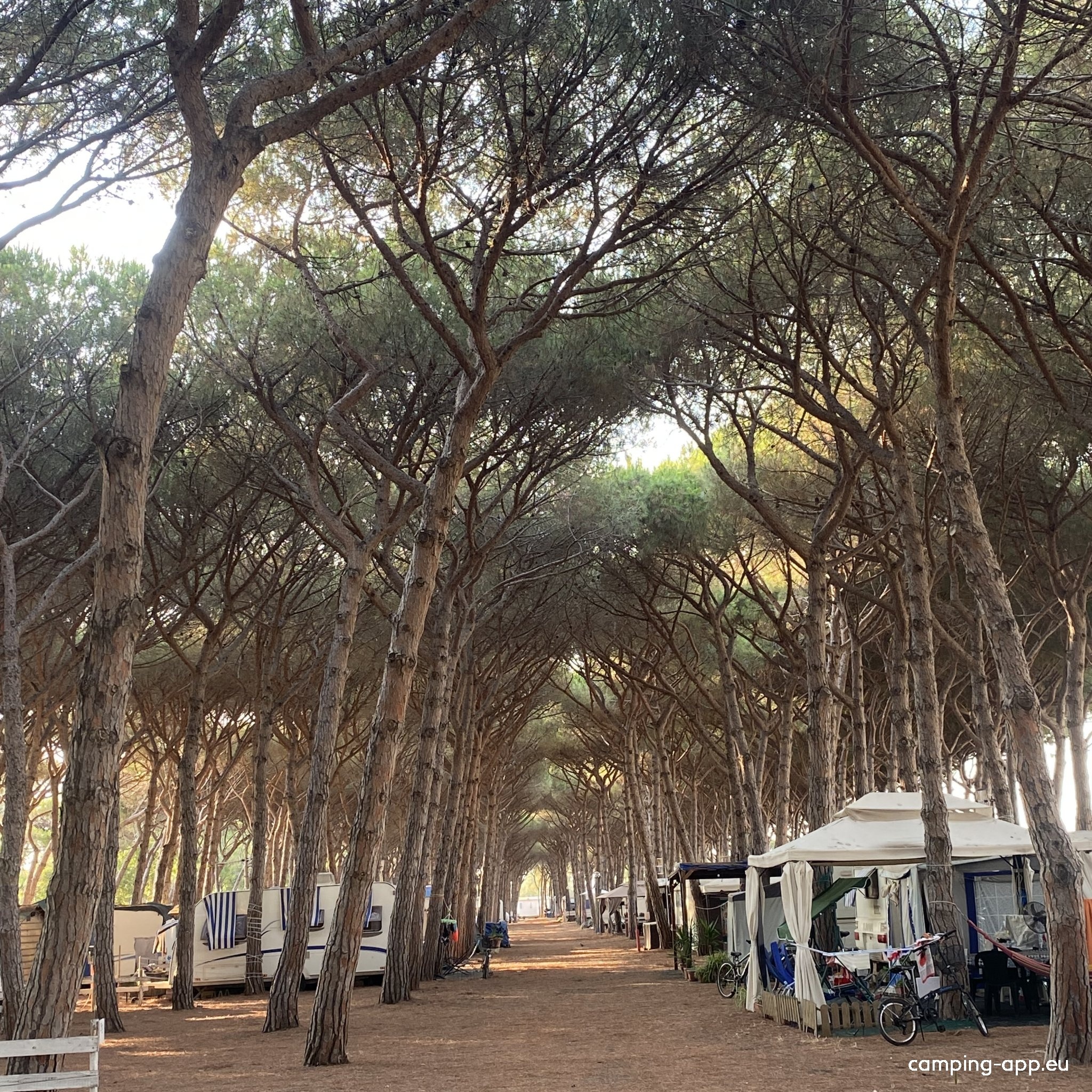 Camping Village Tuscia Tirrenica — Campingplatz in Tarquinia Lido