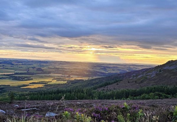 Back o Bennachie Car Park