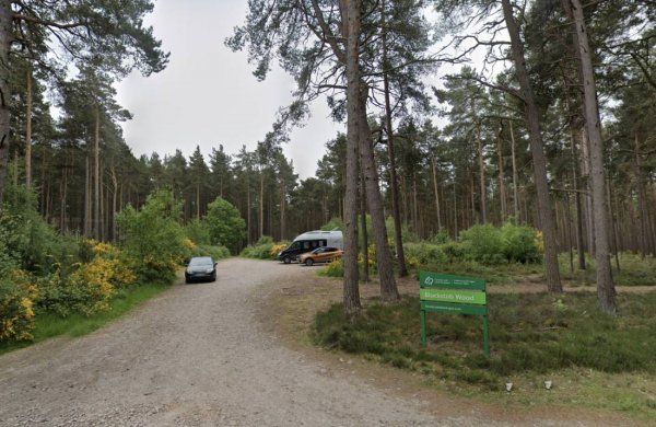 Blackstob Woods