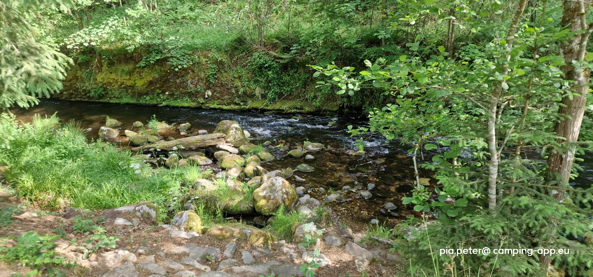 Naturcamping Enz — Photo 2