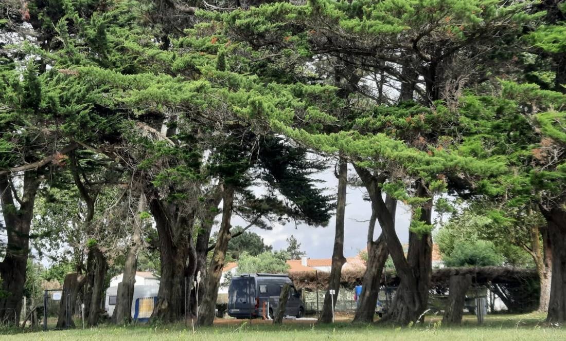 Camping la Golette ** — Campingplats in La Bernerie-en-Retz