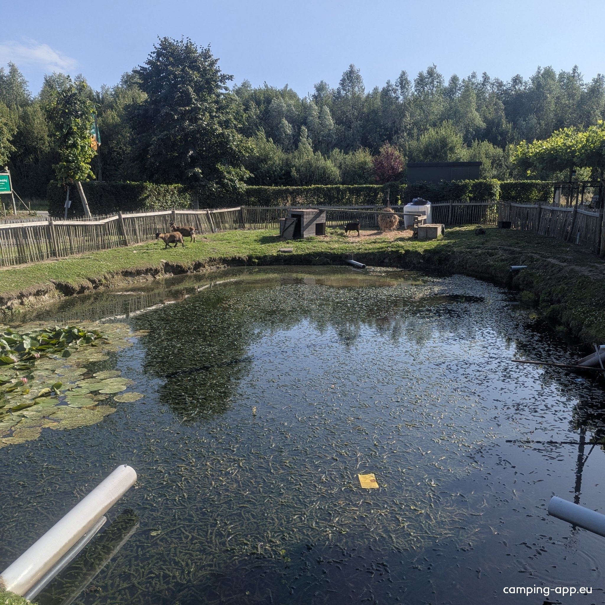 Camping Stal ‘t Bardehof — Campingplass in Poperinge