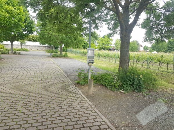 Stellplatz am Nickelgarten Westhofen — Photo 2
