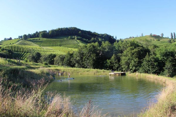 Winez wild culture - Stellplatz — Fotografie 3