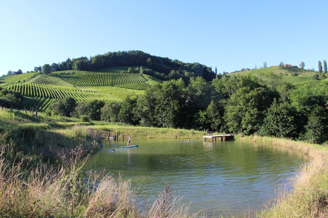 Winez wild culture - Stellplatz — Weingut in Zgornja Kungota
