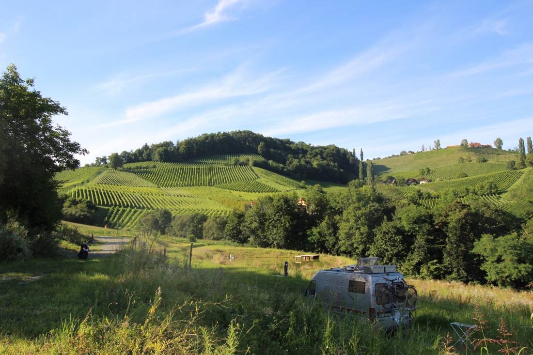 Winez wild culture - Stellplatz — Vinařství in Zgornja Kungota