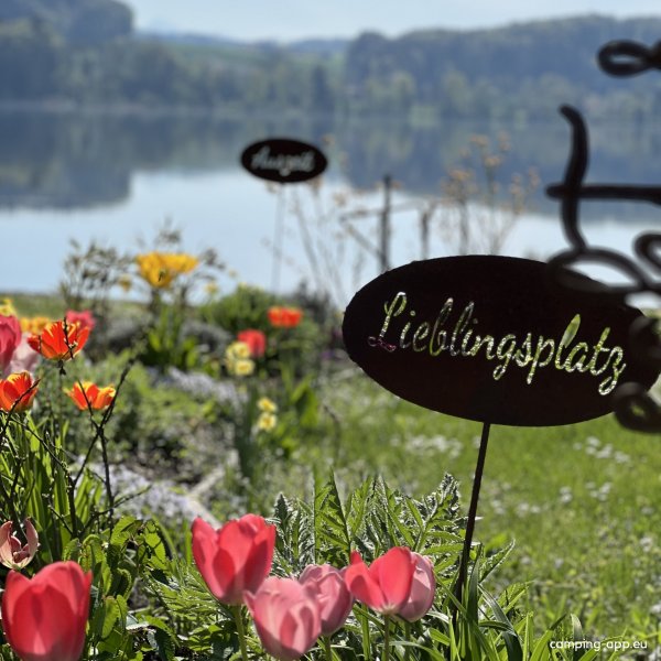 Camping Wagner am Waginger See — Photo 3