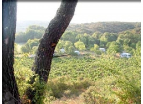 Domaine D'anglas — Photo 4