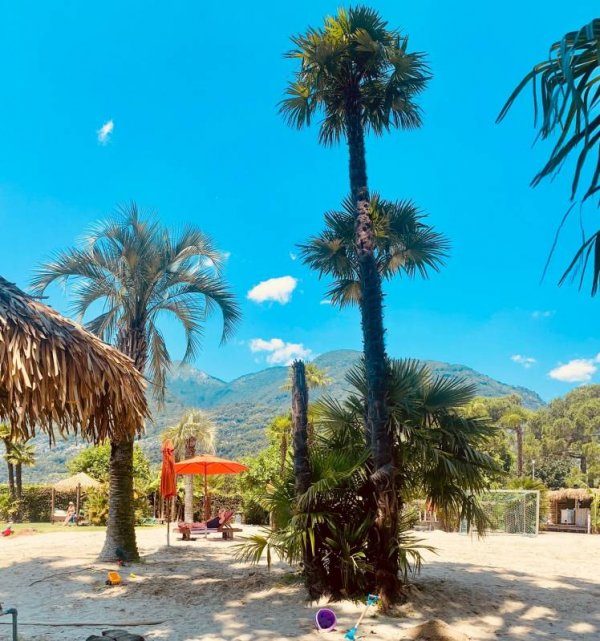 Camping & Palmbeach-resort Miralago — Zdjęcie 6
