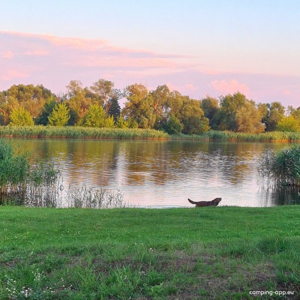 Kanu-Rastplatz Gartz (Oder) — Photo 2