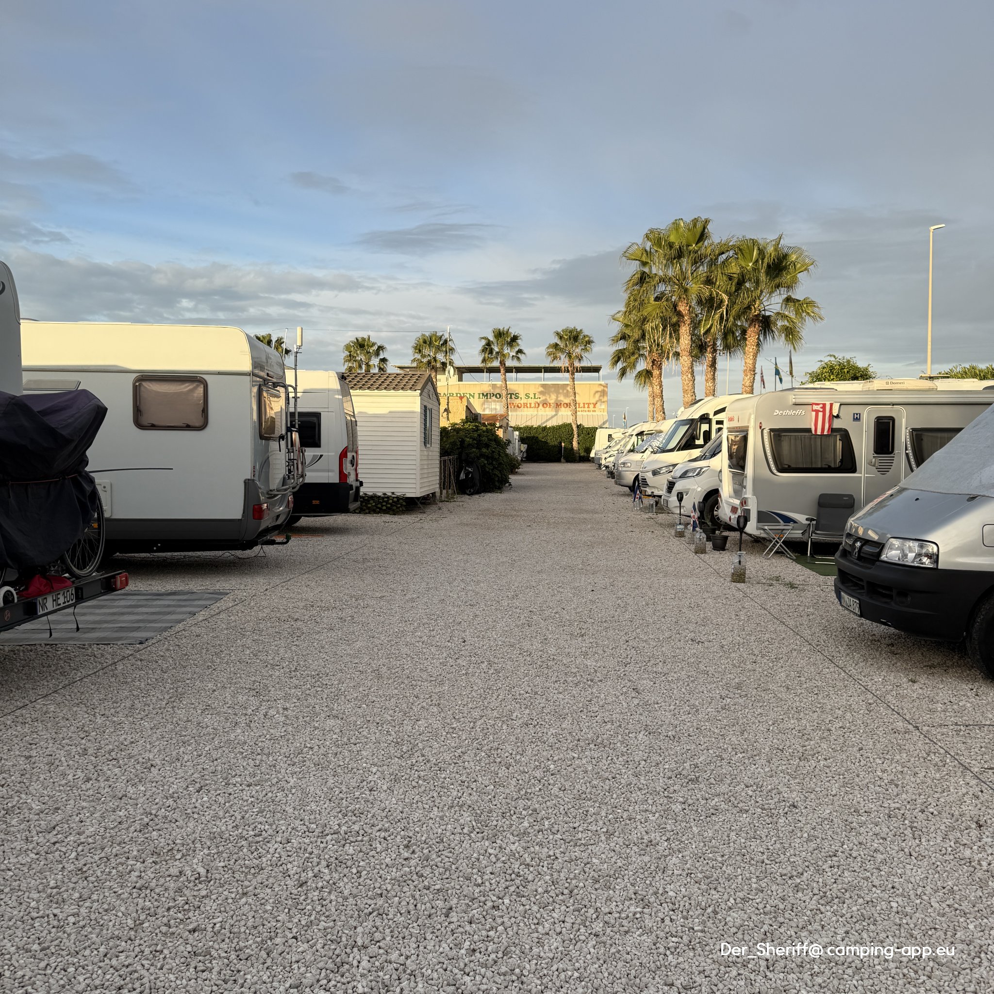 Camperpark San Fulgencio — Photo 2