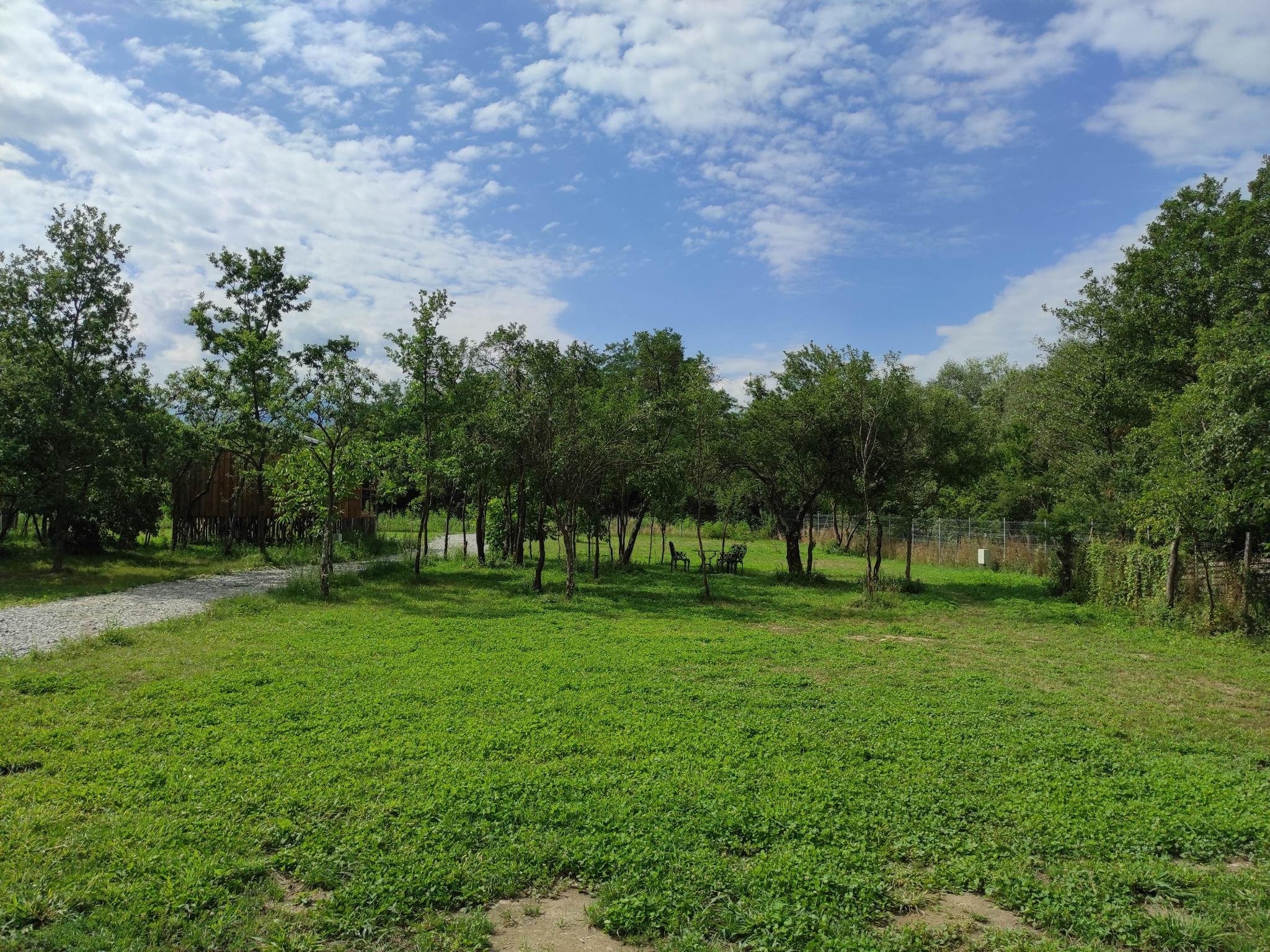 La Moșu Coco Camping Village — Camping in Porumbacu de Jos