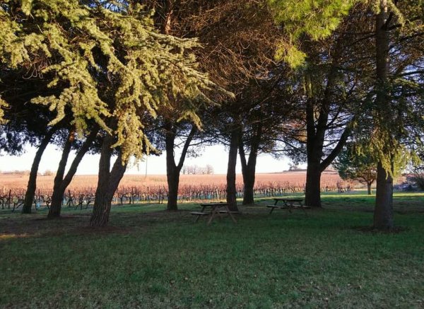 Château la Peyraude et Domaine de Brandeau — Photo 2