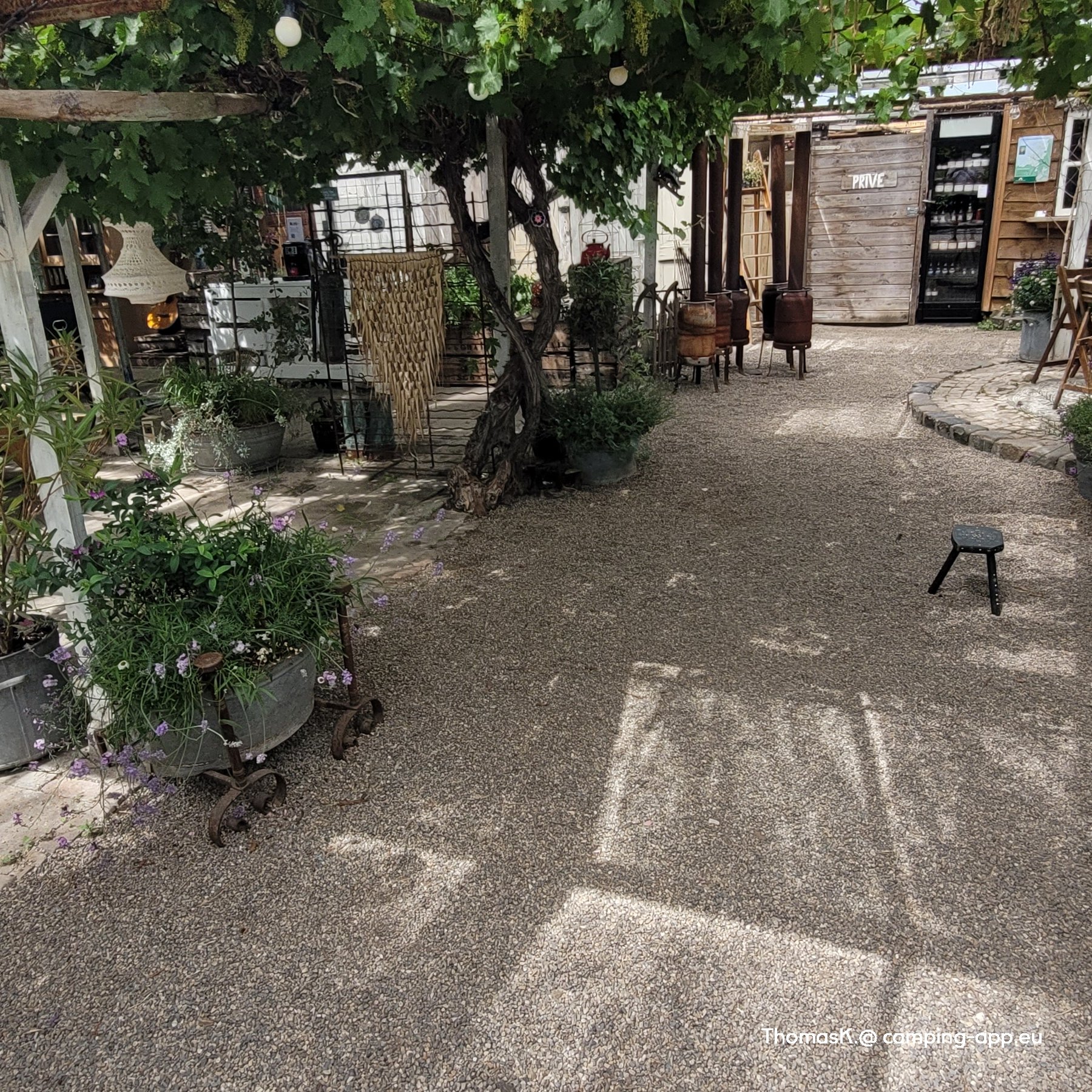 Camping Buitenleven — Foto 3