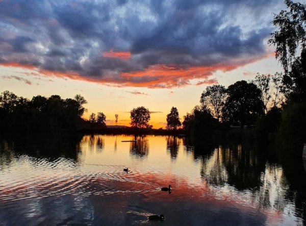 Camping am alten Badweiher — Photo 3