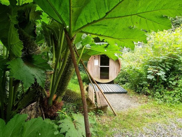 Trellyn Woodland Camping — Photo 2