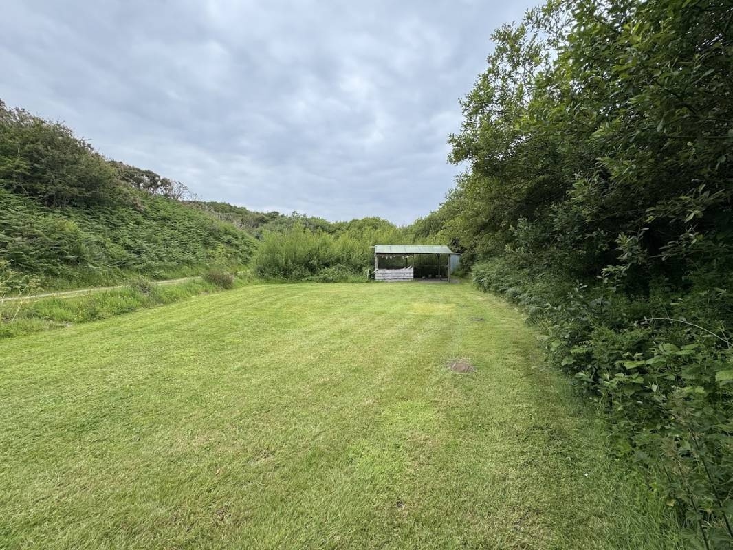 Trellyn Woodland Camping — Місце для кемпінгу in Trefin