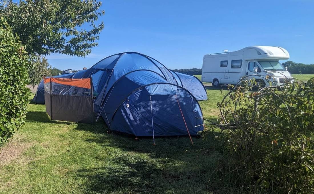 Grass Roots Caravan Glamping & Alpaca Trekking — Cámping in Milford Haven