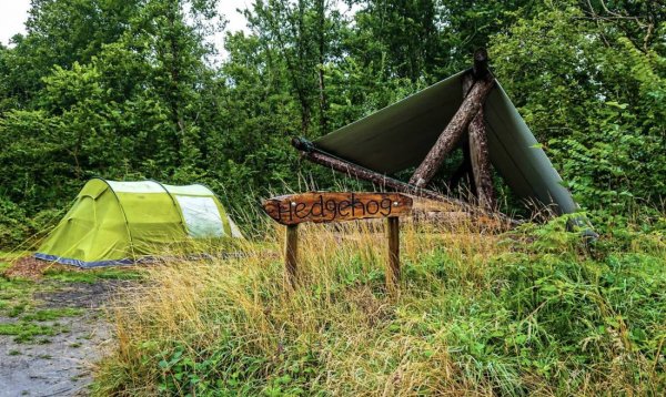 Dragonfly Camping — Photo 3