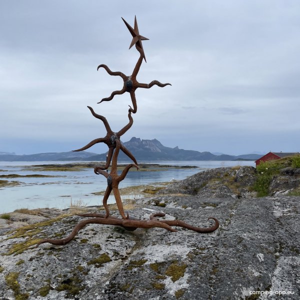 Tranøykaia — Photo 6