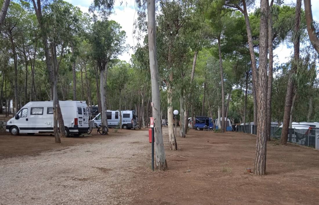 Camping Lacona — Campingplass in Capoliveri