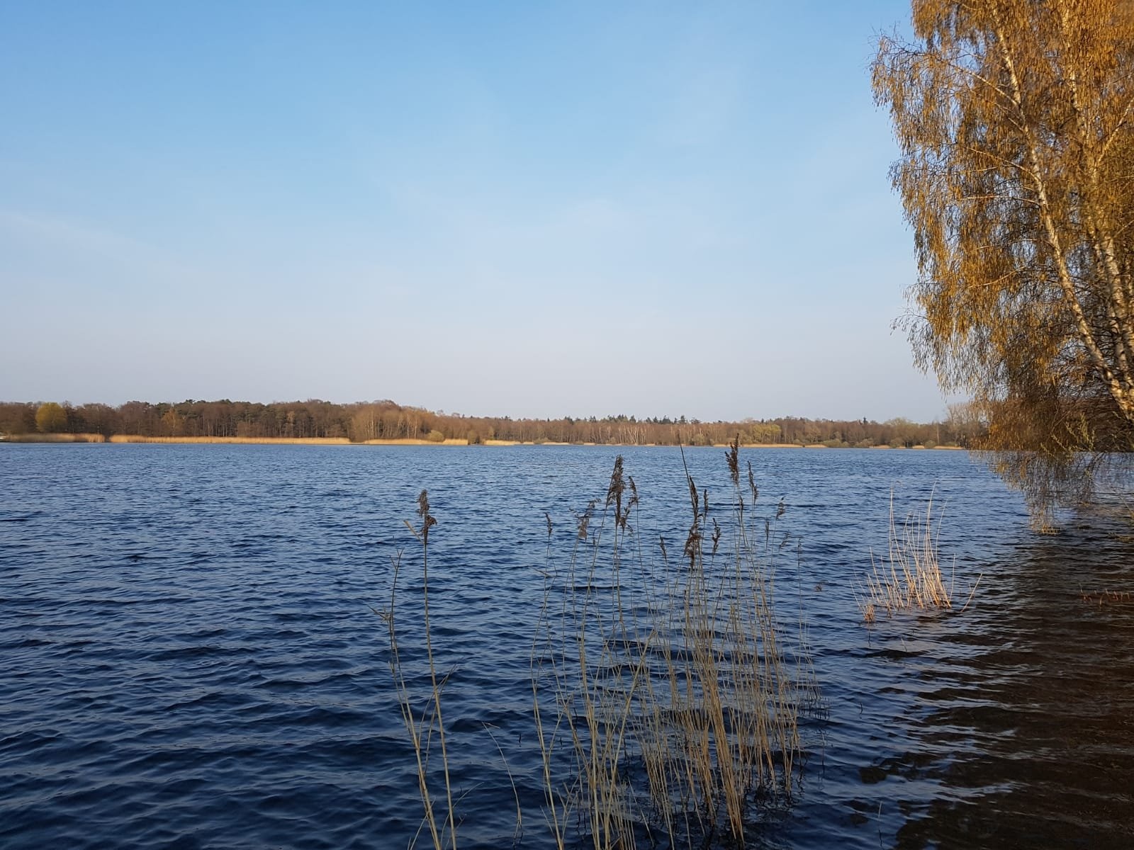 Freizeitpark Kronensee — Camping in Ostercappeln