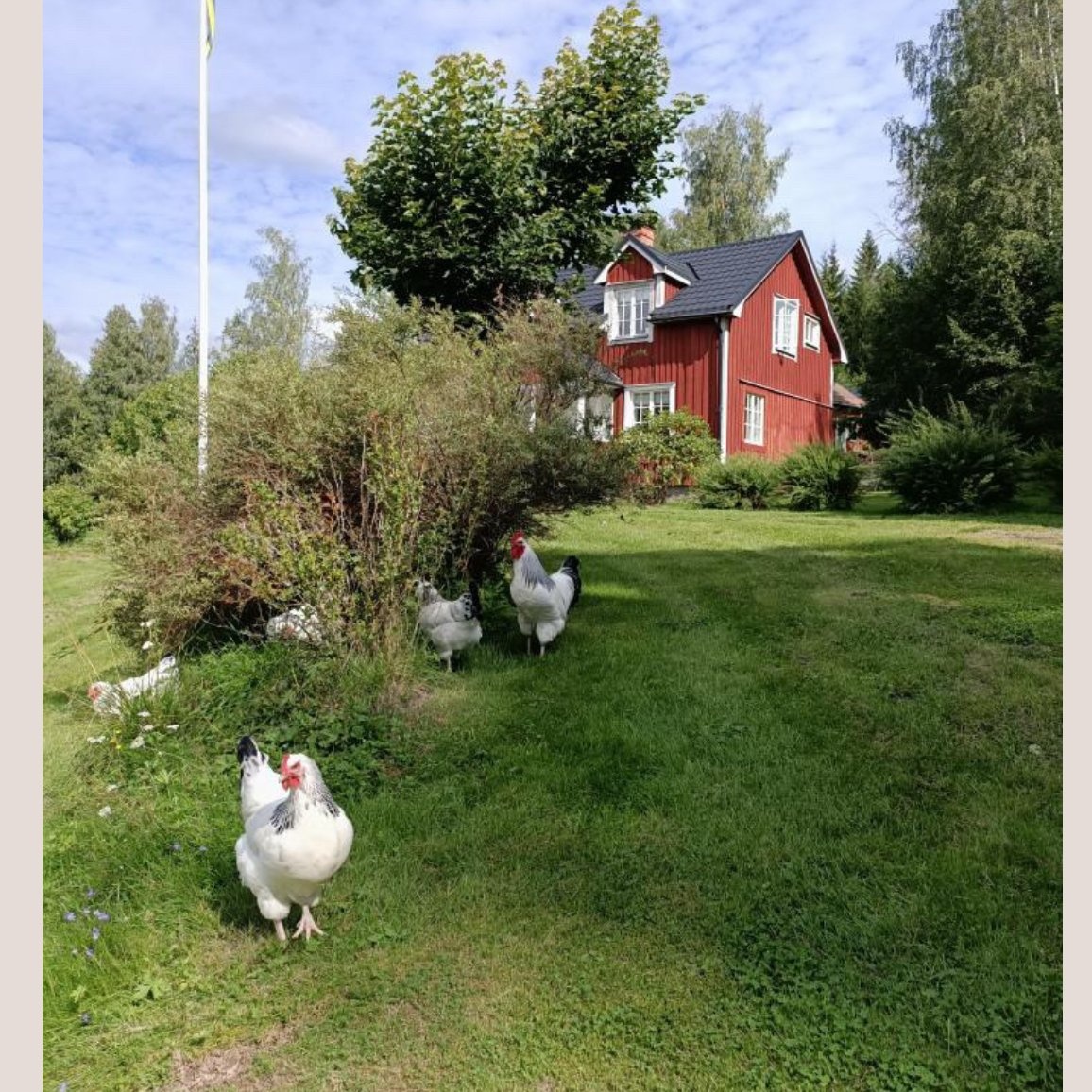 Pionjärgård — Camperplads in Östra Ämtervik