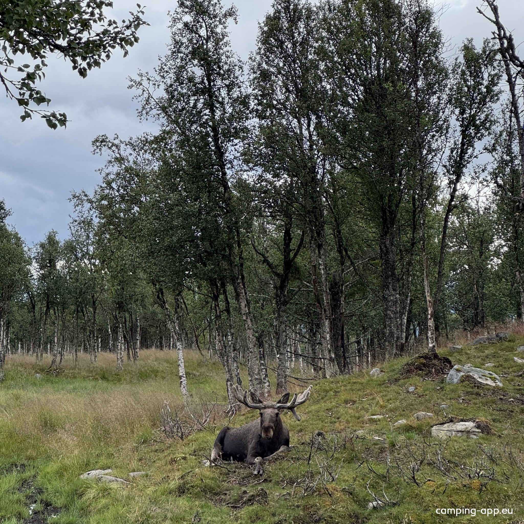 Stellplatz Langedrag Naturpark — Місце для кемперів in Tunhovd